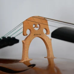 Alexandru Ozon, Bucharest 2008, Stradivarius 'Davidov' Cello