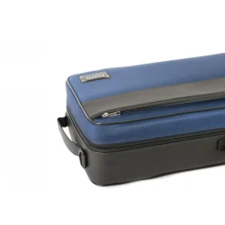 Bam Artisto Violin Case