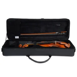 Bam Conservatoire Oblong Violin Case