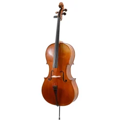 Calin Wultur Piatti Student Cello