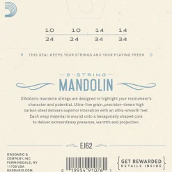 D'Addario EJ62 80/20 Bronze Mandolin String Set, Light