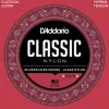 D'Addario EJ27N Student Nylon Classical Guitar String Set, Normal