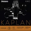 D'Addario Kaplan Amo Violin G String