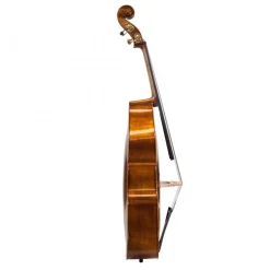 Fiddlerman Concert Double Bass