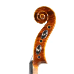 Fiddlerman Master 5-String Violin Outfit