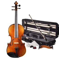 Fiddlerman Master Violin Outfit