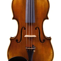 Fiddlerman Master Violin Outfit