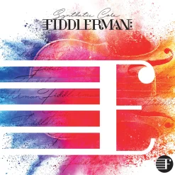 Fiddlerman Violin E String