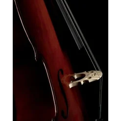 Fishman C-200 Concert Series Cello Pickup