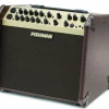 Fishman Loudbox Artist 120W Amplifier