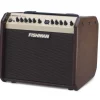 Fishman Loudbox Mini 60W Amplifier