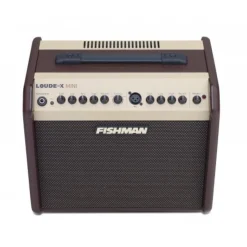 Fishman Loudbox Mini 60W Amplifier