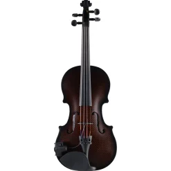 Glasser Carbon Composite Violin Outfit
