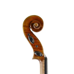 Holstein Traditional Panette Viola