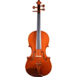 Holstein Workshop by Ming Jiang Zhu Violin
