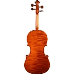 Holstein Workshop by Ming Jiang Zhu Violin