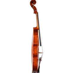 Holstein Workshop by Ming Jiang Zhu Violin
