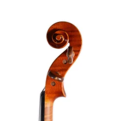 Holstein Workshop by Ming Jiang Zhu Violin