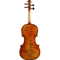 Holstein Workshop David Violin