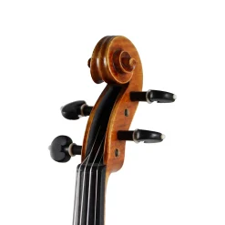 Holstein Workshop David Violin