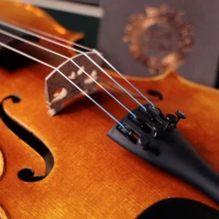 Jargar Evoke Violin D String