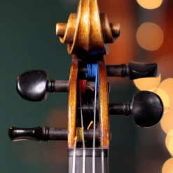Jargar Evoke Violin D String