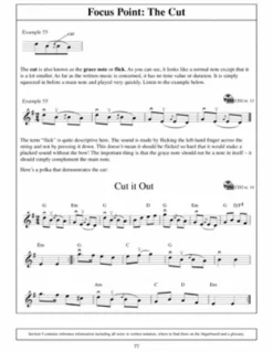 Learn to Play Irish Fiddle