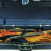 Maple Leaf Strings Double Violin and Viola Case