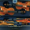 Maple Leaf Strings Quad Violin Case