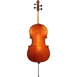 Ming Jiang Zhu 909 Cello