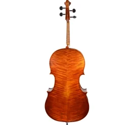 Ming Jiang Zhu 907 Cello