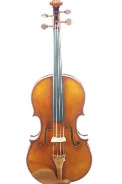 Ming Jiang Zhu 905 Viola