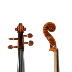 Ming Jiang Zhu 909 Viola