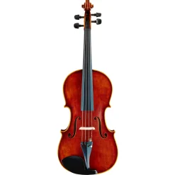 Nicolo Gabrieli Concert Viola