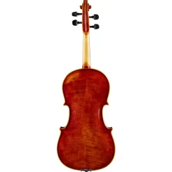 Nicolo Gabrieli Concert Viola