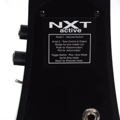 NS Design NXTa 5-string Electric Violin