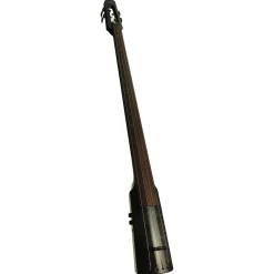 NS Design WAV 4-string Electric Double Bass