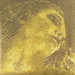 Pirastro Evah Pirazzi Gold Violin G String