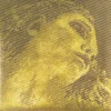 Pirastro Evah Pirazzi Gold Violin D String