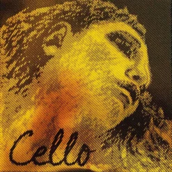 Pirastro Evah Pirazzi Gold Cello D String