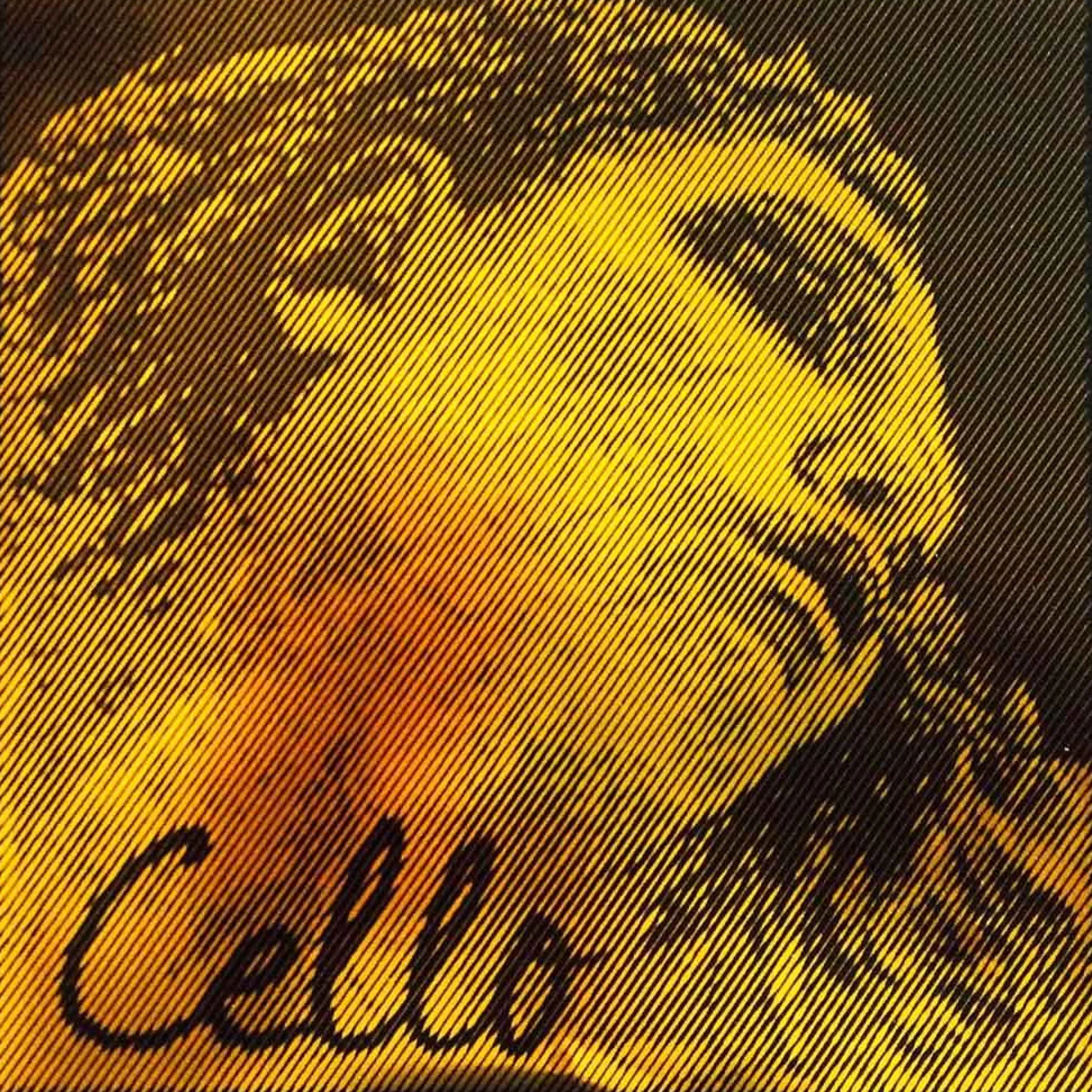 Pirastro Evah Pirazzi Gold Cello D String