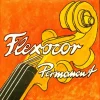 Pirastro Flexocor Permanent Violin A String