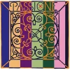 Pirastro Passione Orchestra Bass G String