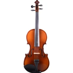 Realist Acoustic-Electric 4-string Violin with Case