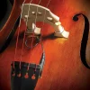 Realist Copperhead Bass Pickup