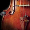 Realist Copperhead Violin Pickup