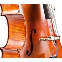 Scott Cao 017E Cello