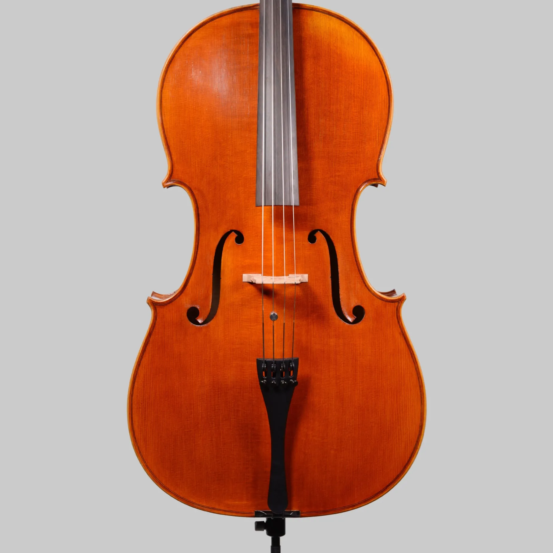 Simon Joseph Stradivarius Cello, Transylvania 2016