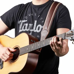 Taylor Century 2.5
