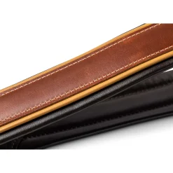 Taylor Century 2.5